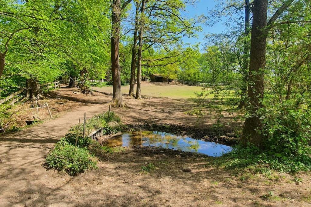 Pferdeparadies Untergruenhagen บาด ฟาลลิงบอสเทล ภายนอก รูปภาพ