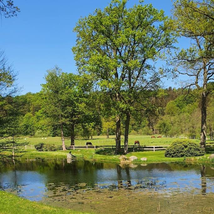Pferdeparadies Untergruenhagen บาด ฟาลลิงบอสเทล ภายนอก รูปภาพ